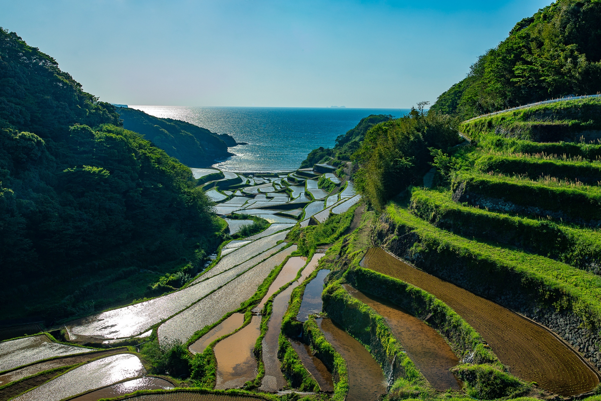 d-couverte-intense-de-kyushu-terres-japonaises